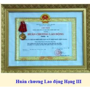 Thành tích công ty đạt được qua các năm từ 2000 - 2009